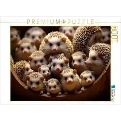 CALVENDO Puzzle Viele Igel auf einem Bild | 1000 Teile Lege-Größe 64x48cm Foto-Puzzle für glückliche Stunden