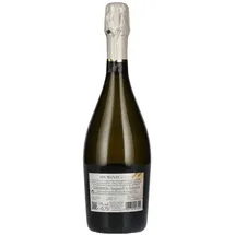 hochriegl sektkellerei Spumante fruchtig 11 % vol 0,75 l