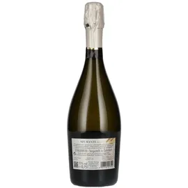 hochriegl sektkellerei Spumante fruchtig 11 % vol 0,75 l