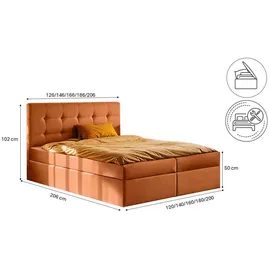 kaiser möbel Boxbett, Orange, 140x200 cm Schlafzimmer, Betten, Boxspringbetten