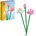 Lotusblumen 40647