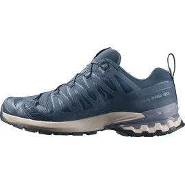 Salomon XA Pro 3D V9 GTX Herren Spellbound/Grisaille/Maritime Blue 43 1/3