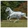 Bucas Buzz-Off Rain Zebra & Neck, 120
