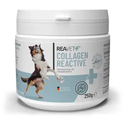 Collagen Reactive 250g – Kollagenpulver für Haut, Haare und Gelenke
