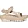 Damen Oyster 42