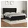 vidaXL Boxspringbett mit Matratze Schwarz 180x200 cm Samt