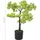 vidaXL Künstlicher Bonsai Zypresse mit Topf 60 cm Grün
