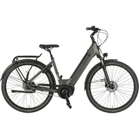 Prophete Geniesser 3.0 28 Zoll RH 48 cm Grau