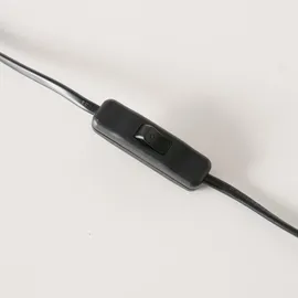 Boltze Petunia Grün