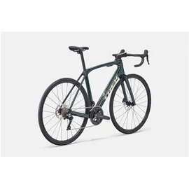 Trek Domane SL 5 Gen 4 2026 60 Zoll RH 60 cm grau/grün