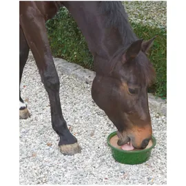 Kerbl Leckschale Bronchial 6 kg