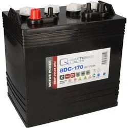Q-Batteries 8DC-170 8V 170Ah Deep Cycle Traktionsbatterie