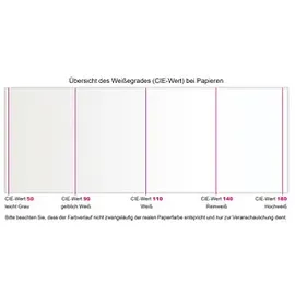 Steinbeis EvolutionWhite A4 80 g/m2 500 Blatt