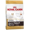 Jack Russel Terrier Junior 3 kg