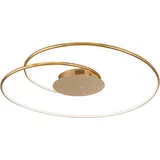 Paul Neuhaus LED-Deckenleuchte Nastro Gold 70 x 65 cm