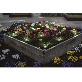LEDVANCE Außenleuchte Kunststoff 9,6 cm 9er Set RGBW