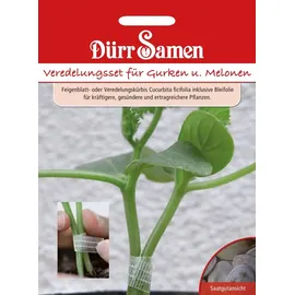 Dürr-Samen - Veredelungs-Set Für Gurken und Melonen Saatgut