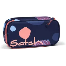 Satch Schlamperbox coral reef