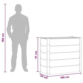 vidaXL Hochbeet 100 x 50 x 91 cm Schwarz