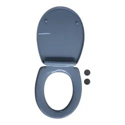 Jet-Line WC Sitz mit Softclose Toilettensitz grau WC-Sitz Toilettendeckel WC-Deckel