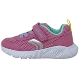 GEOX Jungen Mädchen B SPRINTYE Girl D Sneaker, Pink/Watersea, 27 EU - 27 EU
