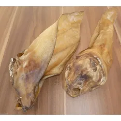 RIESEN RINDEROHREN MIT MUSCHEL