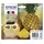 Epson 604 Ananas CMYK