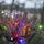star trading deutschland gmbh LED-Lichterkette wetterfest 9 m Mehrfarbig