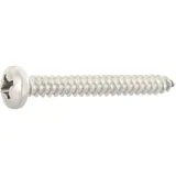 schmidt's onlineshop Blechschraube Linsenkopf A2 5,5 x 25