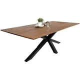 sam möbel gmbh Esstisch, 220x100cm Akazie massiv nussbaumfarben schweizer Kante Spider-Gestell ABBY - Braun,