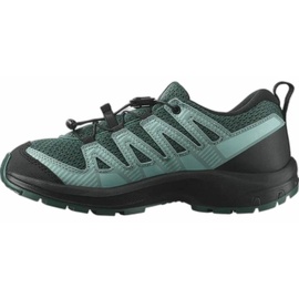 Salomon Xa Pro V8 Hiking Shoes grün EU 40