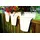 KHW Flowerclip Ø 27 x 27,5 cm weiß 3 Stück