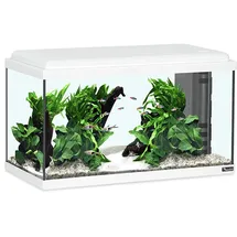 Aquatlantis Advance 60 LED Set, weiß