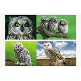 Cornelissen 1x 3D Lesezeichen Eulen 15x5cm Tiere Wackelbild Wackelkarte Buchzeichen Bookmark Bücher Buch Eule