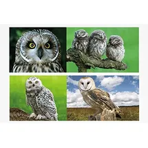 Cornelissen 1x 3D Lesezeichen Eulen 15x5cm Tiere Wackelbild Wackelkarte Buchzeichen Bookmark Bücher Buch Eule