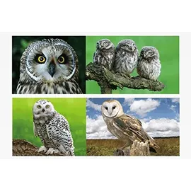 Cornelissen 1x 3D Lesezeichen Eulen 15x5cm Tiere Wackelbild Wackelkarte Buchzeichen Bookmark Bücher Buch Eule