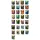Arcane Tinmen Dragon Shield Matte Dual Wisdom (100)