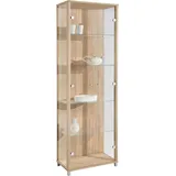 fif möbel Vitrine OPTIMA Standvitrine, Vitrinenschrank, Glasvitrine, Sammlervitrine braun 58 cm x 172 cm x 33 cm