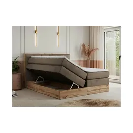 MKS Veneto King 180 x 200 cm H4 Braun