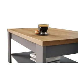 Sconto Bohol Grau Eiche 100 x 45,7 x 60 cm