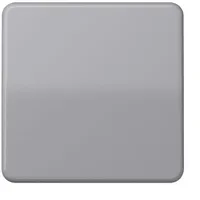 Jung Steuertaste Standard grau