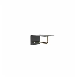 Frost Unu Wandgarderobe mit 2 Haken | schwarz matt / gold poliert