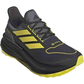 adidas Ultraboost 5 GTX Herren Carbon/Core Black/Grey Four 46 2/3