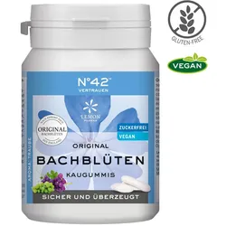 SELBSTVERTRAUEN Kaugummi nach Dr. Bach 40 St Kaugummi