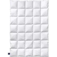 billerbeck Ambiente Mono 155 x 220 cm