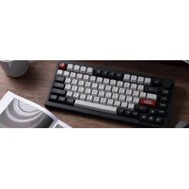 Akko 5075B Plus Dracula Castle RGB Gaming Tastatur ANSI 75% Layout 2.4G/Bluetooth/Type-C Linearer Schalter - Grau