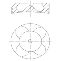 Mahle 081 PI 00103 000