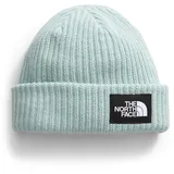 THE NORTH FACE NF0A7WG81OC1 Kids' Salty Lined Beanie Hat Unisex Muted Pine Größe OS