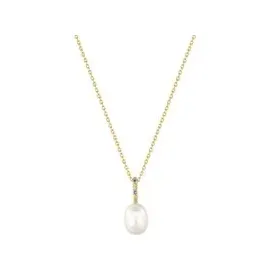 ANIA HAIE Kette mit Anhänger Gold Pearl Padlock Silber