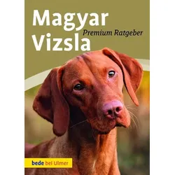 Magyar Vizsla